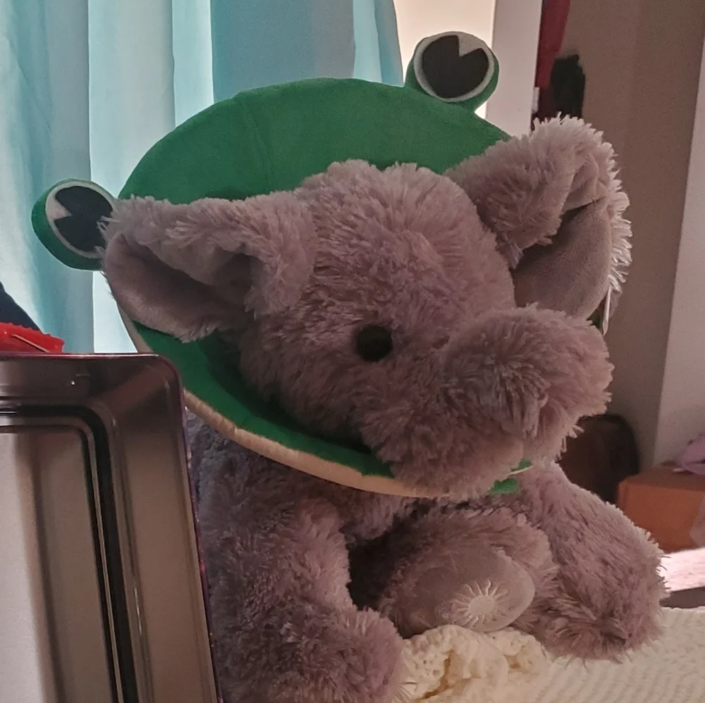 Frog small pet hat